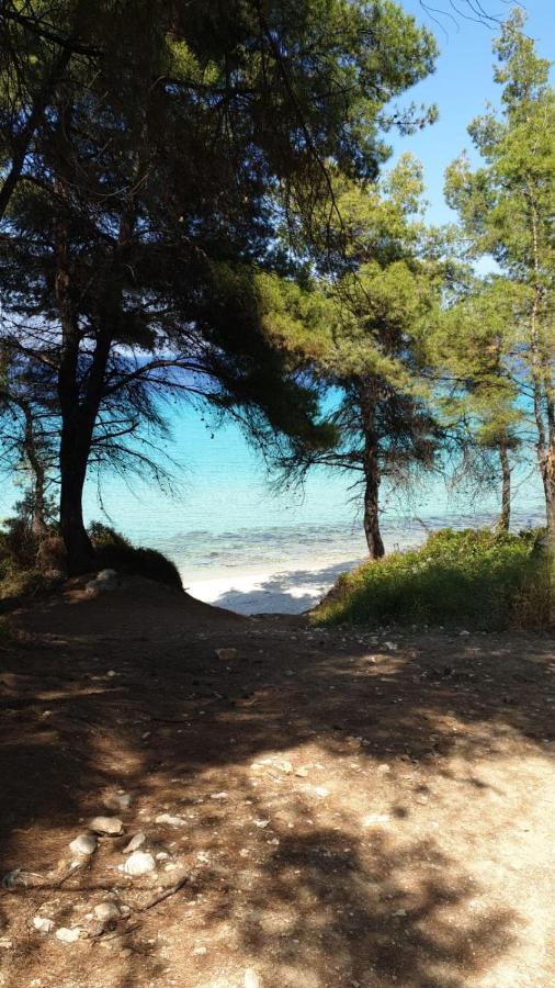 Villa Sandra Κρυοπηγή Εξωτερικό φωτογραφία
